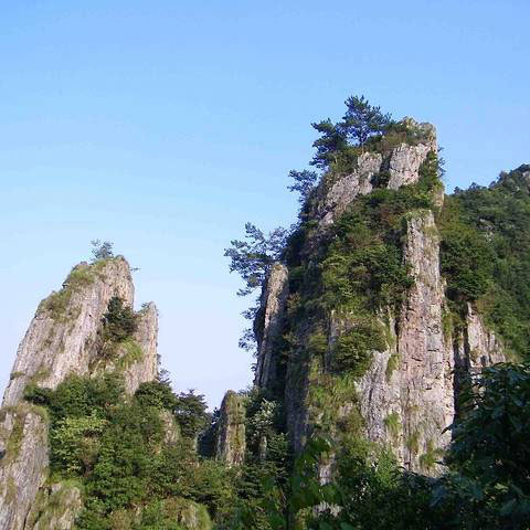 科技護林，走進‘清涼峰’